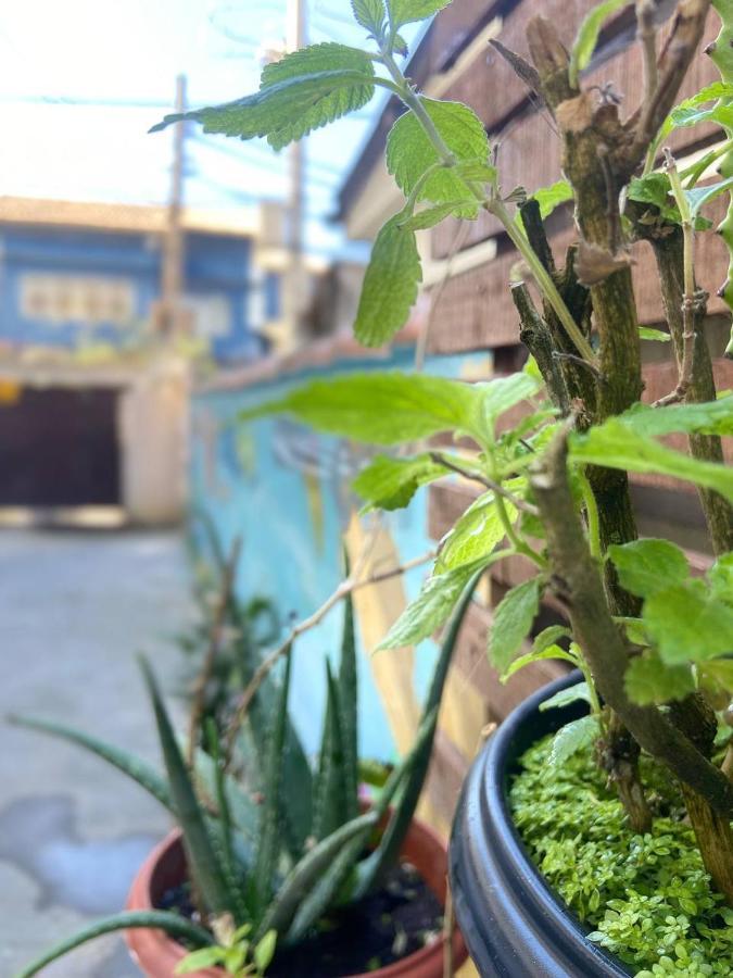 Suites Da Any 阿拉亚尔-杜卡布 外观 照片